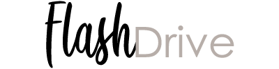 Flash Drive Logo