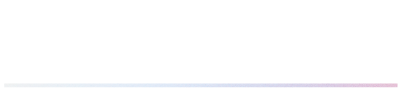 Asselion Fast Charger