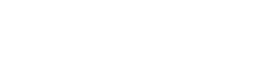 Buzz Bug X Pro
