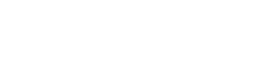 Buzz Bug X Pro