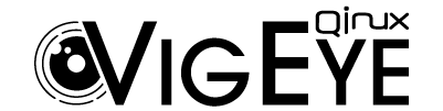 Qinux VigEye Logo